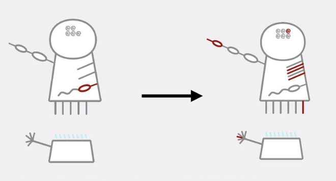Code Topology Dummies Notation